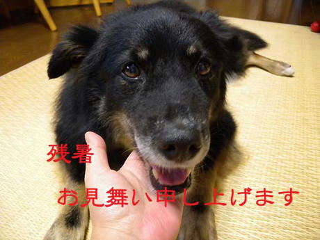 DSCN1666.jpg