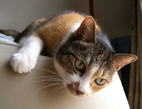 DSCN1733.jpg