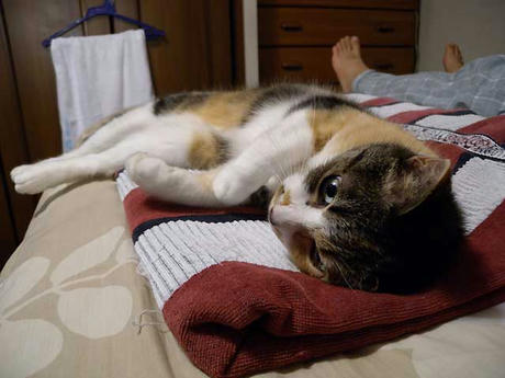 DSCN1774.jpg