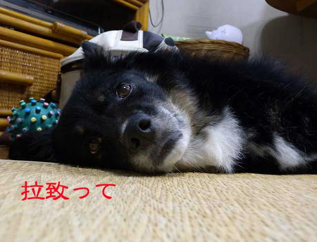 DSCN1802.jpg