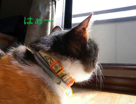 DSCN1834.jpg