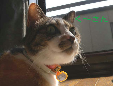 DSCN1835.jpg