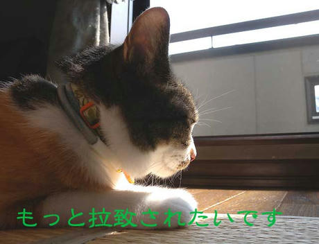 DSCN1837.jpg
