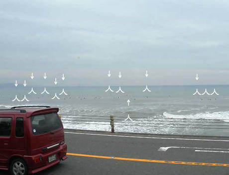 DSCN1936.jpg