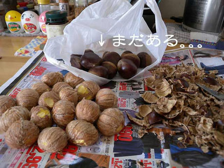 DSCN2040.jpg
