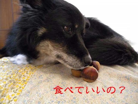 DSCN2045.jpg