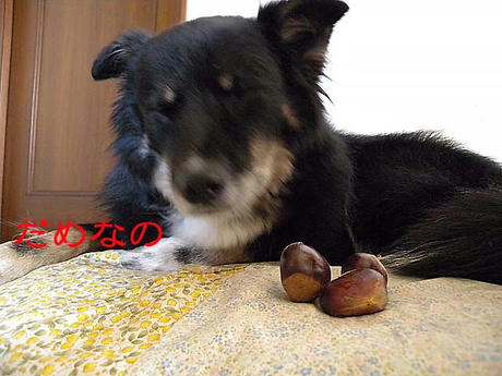DSCN2046.jpg