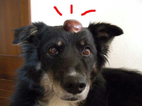 DSCN2049.jpg