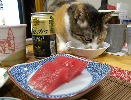 DSCN2076.jpg