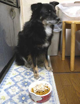 DSCN2080.jpg