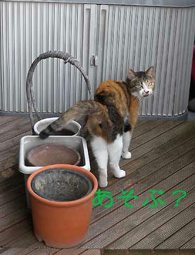 DSCN2058.jpg