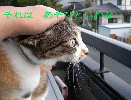 DSCN2064.jpg