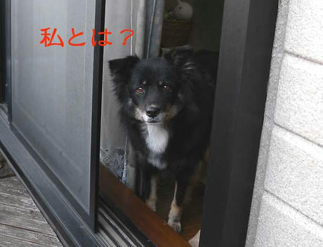DSCN2067.jpg