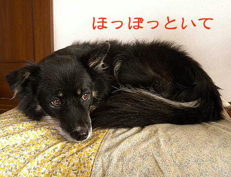 DSCN2091.jpg