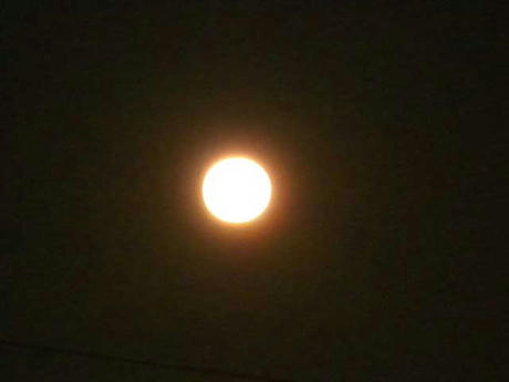 DSCN2164.jpg