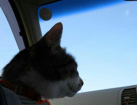DSCN2322.jpg