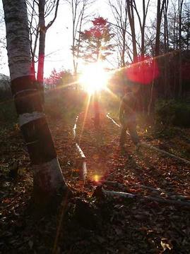 DSCN2393.jpg