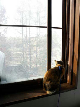 DSCN2400.jpg