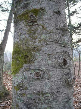 DSCN2381.jpg