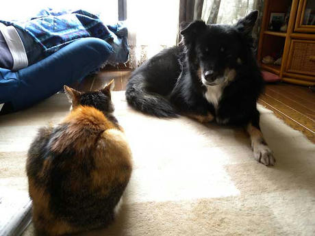 DSCN2491.jpg