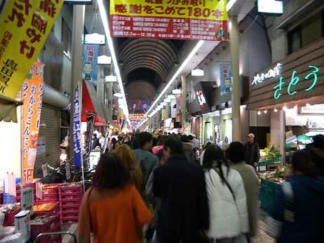 DSCN2546.jpg