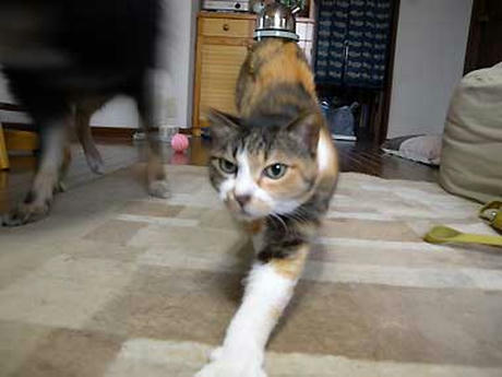 DSCN2587.jpg