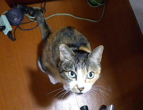 DSCN2589.jpg