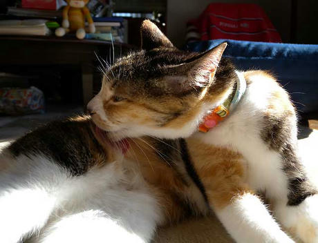 DSCN2642.jpg