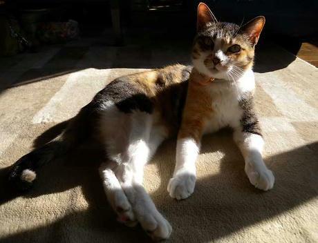 DSCN2647.jpg