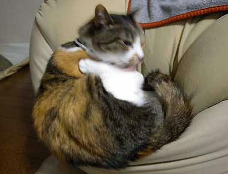 DSCN2605.jpg