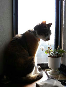 DSCN2524.jpg