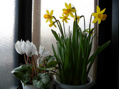 DSCN2678.jpg