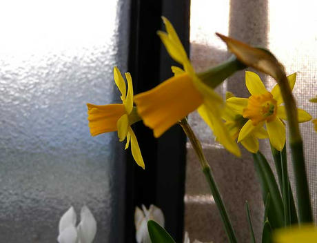 DSCN2681.jpg