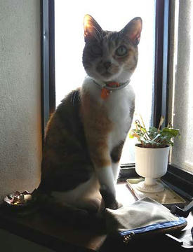 DSCN2525.jpg