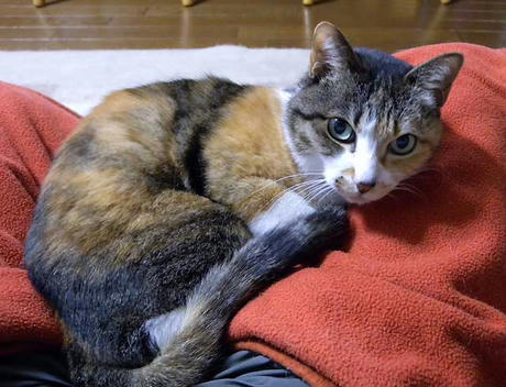 DSCN2686.jpg