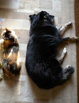 DSCN2716.jpg