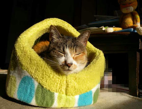 DSCN2759.jpg