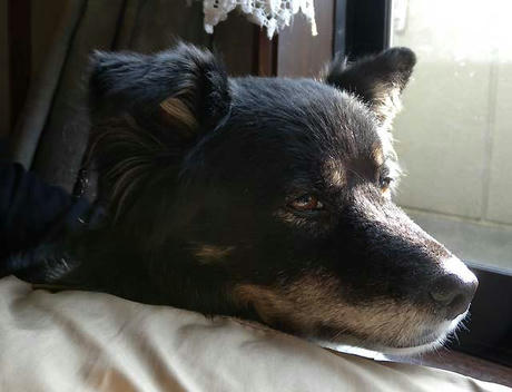 DSCN2766.jpg