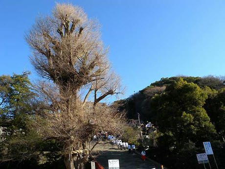 DSCN2786.jpg