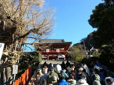 DSCN2787.jpg