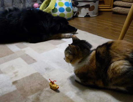 DSCN2797.jpg
