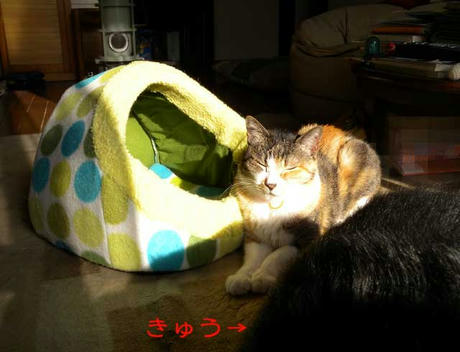 DSCN2804.jpg