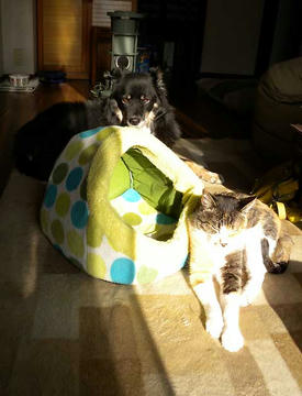 DSCN2807.jpg