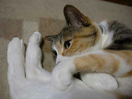 DSCN2733.jpg