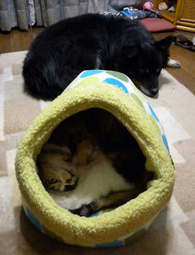 DSCN2852.jpg