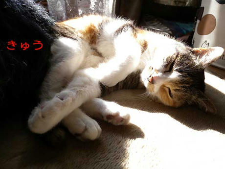 DSCN2863.jpg