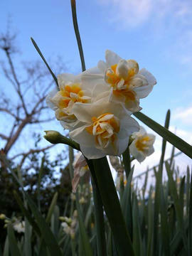 DSCN2875.jpg