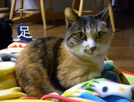 DSCN2870.jpg