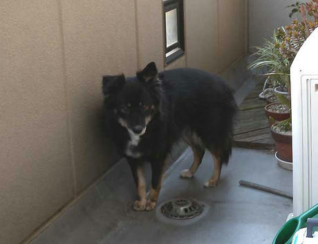 DSCN2882.jpg