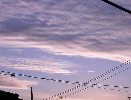 DSCN2913.jpg